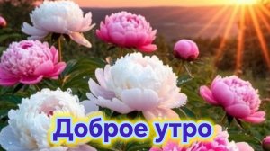 Доброе летнее утро. Шикарная музыкальная открытка.