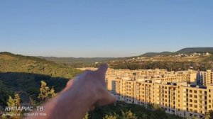 Кипарисы в закате: вечерний обзор с высоты птичьего полета (31 июля 2026)