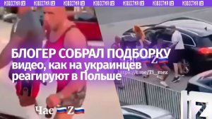 Карма прилетела: как на украинцев реагируют в Польше из-за мовы