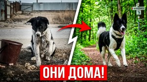Они не должны были выжить, но…