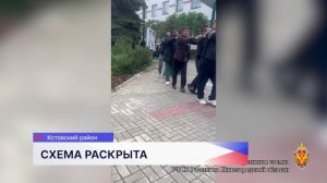 Фирму, которая по поддельным документам ввозила нелегалов, прикрыли в Нижегородской области
