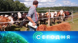 «Сегодня»: 31 июля 2026 года. 16:00 | Выпуск новостей | Новости НТВ