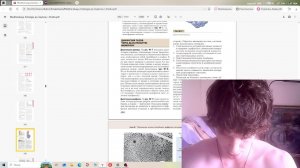 Физиология, стрим 4