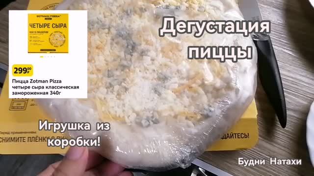 Дегустация пиццы.  Игрушка для котов из коробки