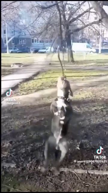 Один день в мурино: