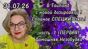 1 часть. В Таиланд с новой дозировкой❗️Главное СПЕЦИИ взять❗️