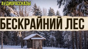 Лес | Лесной детектив | жизненная история