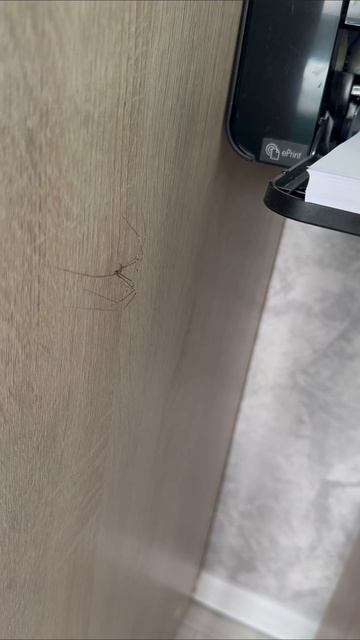 2026-07-31