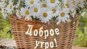 С добрым, летним утром!