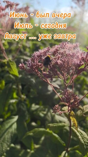 Июнь был вчера, сегодня - июль, август....уже завтра