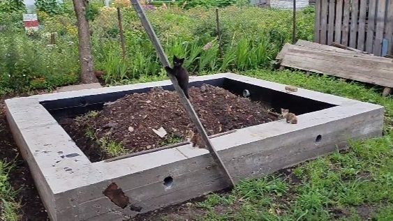 Баньку строим.1 часть.
