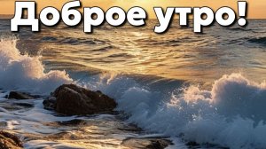 УТРЕННЯЯ ПОЧТА ! ЗАРПЛАТА 110000 ТЫСЯЧ! ВАСЕВСКИЕ УЖЕ ОПЯТЬ ПРОСЯТ)))🤣🤣🤣 деньги!