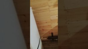 рыбалка возле Колпашево / база У Николаича