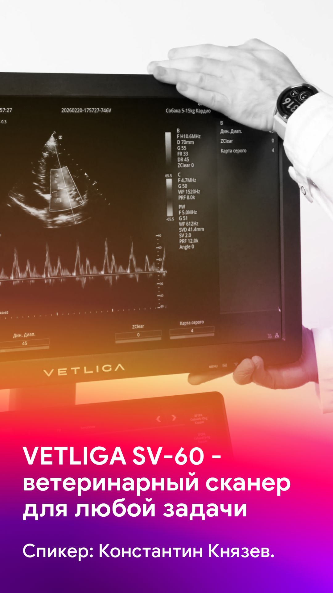 Все сильные и слабые стороны УЗИ аппарата VETLIGA SV-60