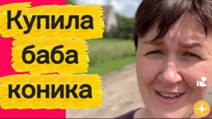 Очередная игрушка. Деревенский дневник