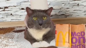 Котошкола 4 серия Ефросинья Ивановна