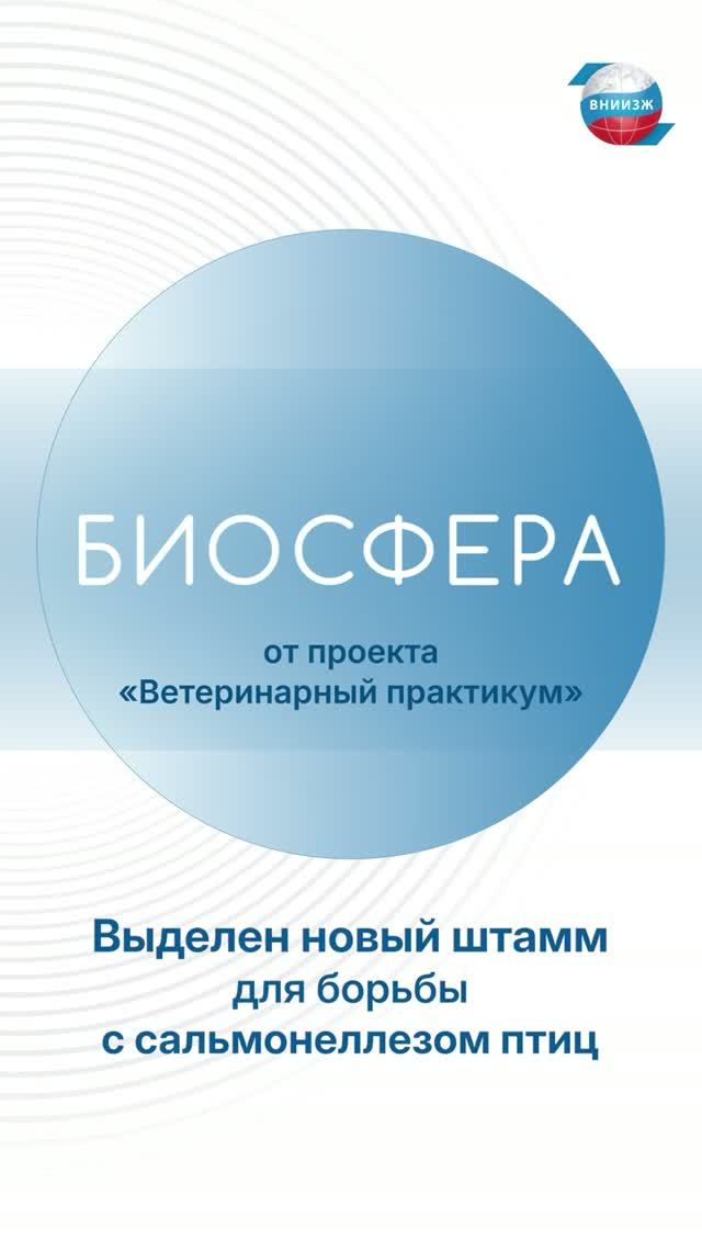 Российские ученые выделили новый штамм для борьбы с сальмонеллезом птиц