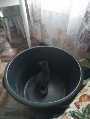 всем привет, и сегодня мы будем меньше с моей дочкой.