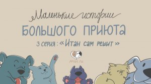 Маленькие Истории Большого Приюта 3 серия 1 сезон | Премьера 2026 мультфильм о животных из приюта