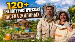 120+ Пчелотуристическая пасека Жилиных: из торговли в пчеловодство и агротуризм