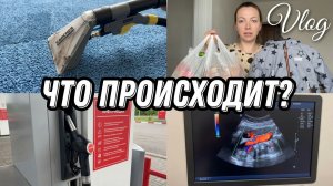 VLOG: Еду к ХИРУРГУ//Моем КОВРЫ//Что с БЕНЗИНОМ//Варикоз и БЛЯШКИ//Обзор ПОКУПОК