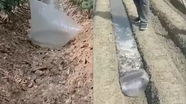 Знания по физике применимы даже в садоводстве и на огороде!