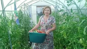 Почему так жестоки люди ? Закатала компоты, отправила посылки