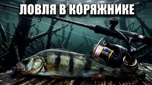 Рыбалка после дождя! Как расшевелить окуня в затопленных деревьях