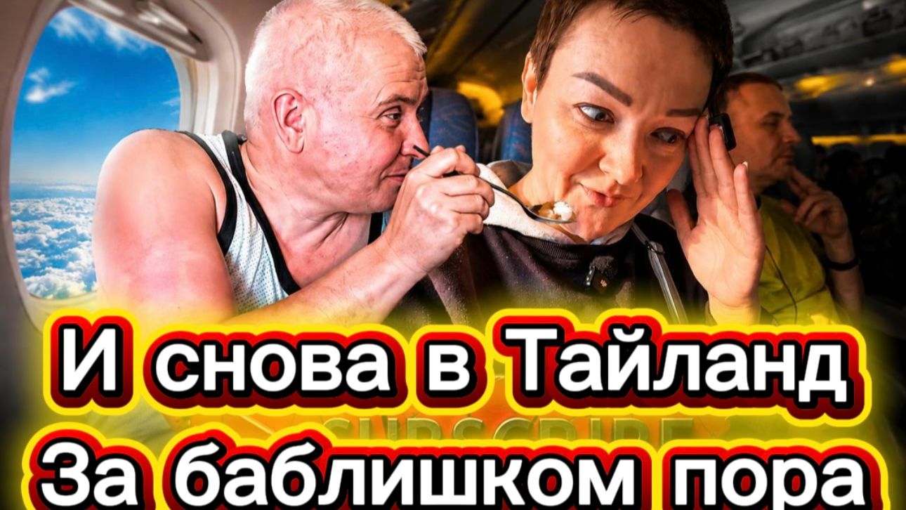 Папилломоведы - Доминантная самка Нинкус Шилкус Анубис и безвольная псина по кличке Пшпштет.