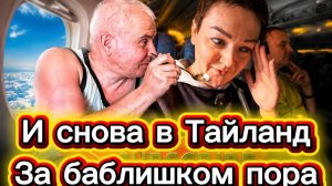 Папилломоведы - Доминантная самка Нинкус Шилкус Анубис и безвольная псина по кличке Пшпштет.