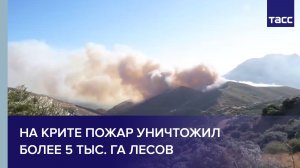 На Крите пожар уничтожил более 5 тыс. га лесов