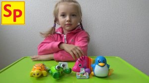 Играем заводными животными. Рыбка, крабик, черепаха, пингвин