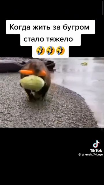 ты куда ползëш