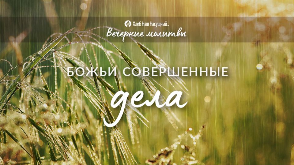 БОЖЬИ СОВЕРШЕННЫЕ ДЕЛА | Вечерние размышления