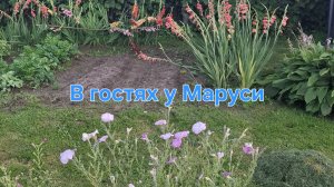 Пятница - приехала к родителям😁