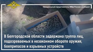 В Белгородской области задержана группа лиц, подозреваемых в незаконном обороте оружия, боеприпасов