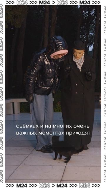 Кто отвлёк артистку Розу Зергерли от важного разговора? #rozazergerli #shorts