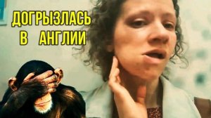 СТРАНИЧКА НАДЕЖДЫ: Надька сожрала грязь и заработала флюс. АРХИВЫ.