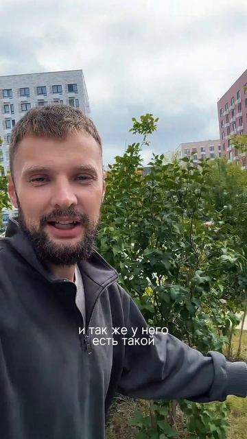 Живучие растения