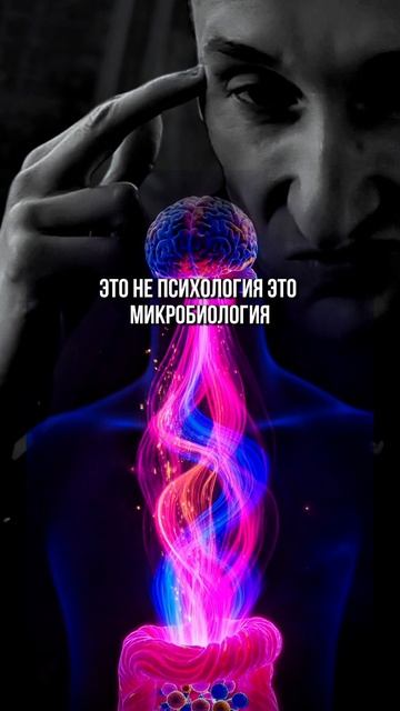 ЗДОРОВЬЕ КИШЕЧНИКА