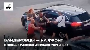 Бандеровцы — на фронт! В Польше массово избивают украинцев