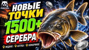🤑 ТОП-3 ТОЧКИ ФАРМА и РАЗДАЧИ ТРОФОВ РР4 (31.07)! СВОДКА по ВОДОЕМАМ! МЕДНОЕ • АХТУБА • КОМАРИНОЕ