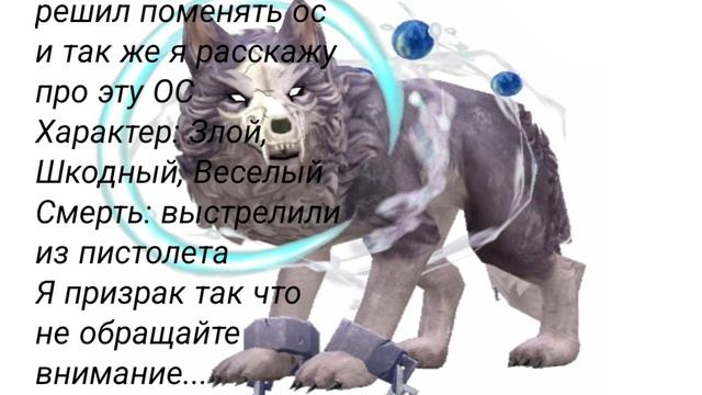 Сменил ос на Gorfer