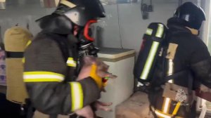 Пожарные спасли 2 500 поросят при тушении возгорания в Курганской области: видео.