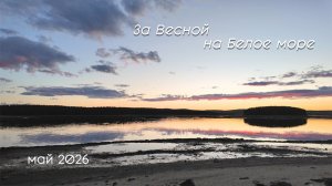 Белое Море май 2026 года