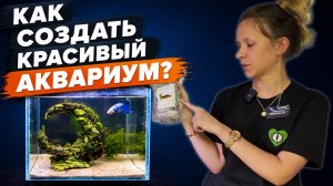 Как создать красивый аквариум? Секреты декора и освещения | Аквариумные истории из ЭКЗОМЕНЮ №183