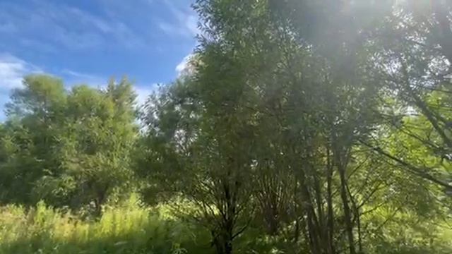 пос Хорлово ул. Луговая