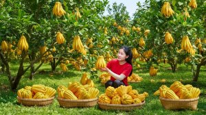 Дни сбора 1000+ «рук Будды» и продажи на рынке — Elli Life.