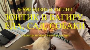 Зонтик для Багиры, про еду, сад и собак. № 990 Жизнь в Англии