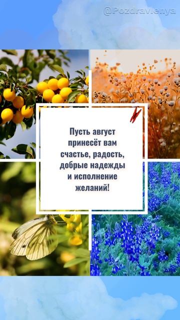 Август, привет!